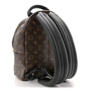 Monogram Palm Springs Backpack PM