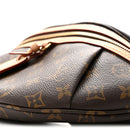 Monogram High Rise Bumbag