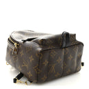 Monogram Palm Springs Backpack Mini