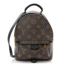 Monogram Palm Springs Backpack Mini