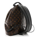 Monogram Palm Springs Backpack MM