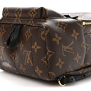 Monogram Palm Springs Backpack Mini