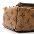 Reverse Monogram Palm Springs Backpack Mini