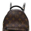 Monogram Palm Springs Backpack Mini