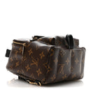 Monogram Palm Springs Backpack Mini
