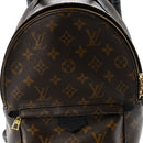 Monogram Palm Springs Backpack PM