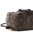 Monogram Palm Springs Backpack Mini