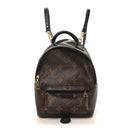 Monogram Palm Springs Backpack Mini