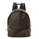 Monogram Palm Springs Backpack MM