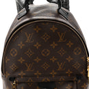 Monogram Palm Springs Backpack PM