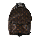 Monogram Palm Springs Backpack PM