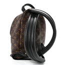 Monogram Palm Springs Backpack PM