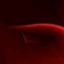 Epi Alma BB Coquelicot