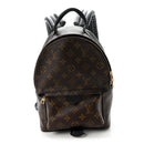 Monogram Palm Springs Backpack PM