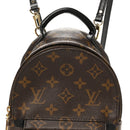 Monogram Palm Springs Backpack Mini