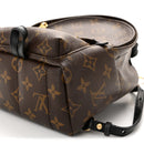 Monogram Palm Springs Backpack Mini