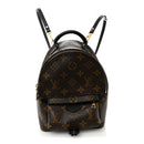 Monogram Palm Springs Backpack Mini