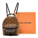 Reverse Monogram Palm Springs Backpack Mini