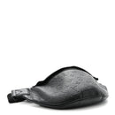 Calfskin Monogram Shadow Discovery Bumbag Black