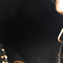 Reverse Monogram Noe Trunk PM