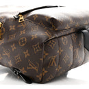 Monogram Palm Springs Backpack MM