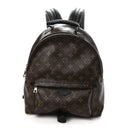 Monogram Palm Springs Backpack MM