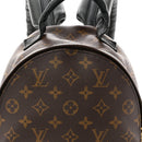 Monogram Palm Springs Backpack PM