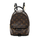 Monogram Palm Springs Backpack Mini