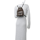 Monogram Palm Springs Backpack Mini