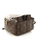 Monogram Palm Springs Backpack Mini