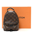 Monogram Palm Springs Backpack Mini