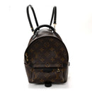 Monogram Palm Springs Backpack Mini