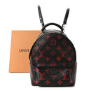 Monogram Infrarouge Palm Springs Backpack Mini