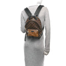 Reverse Monogram Palm Springs Backpack PM