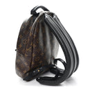 Monogram Palm Springs Backpack PM
