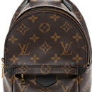 Monogram Palm Springs Backpack Mini