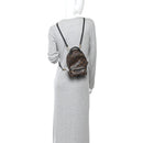 Monogram Palm Springs Backpack Mini