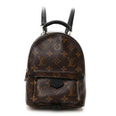 Monogram Palm Springs Backpack Mini