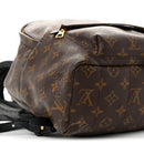 Monogram Palm Springs Backpack MM