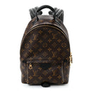 Monogram Palm Springs Backpack PM