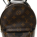 Monogram Palm Springs Backpack Mini