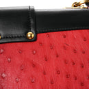 City Calfskin Ostrich Cahier Bag Fuoco Black