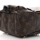 Monogram Palm Springs Backpack Mini