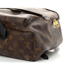 Monogram Palm Springs Backpack MM