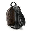 Monogram Palm Springs Backpack PM