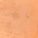 Monogram Alma PM