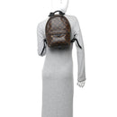 Monogram Palm Springs Backpack PM